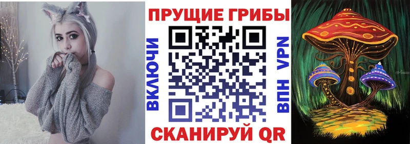 Купить где  Кувшиново  Галлюциногенные грибы MAGIC MUSHROOMS 