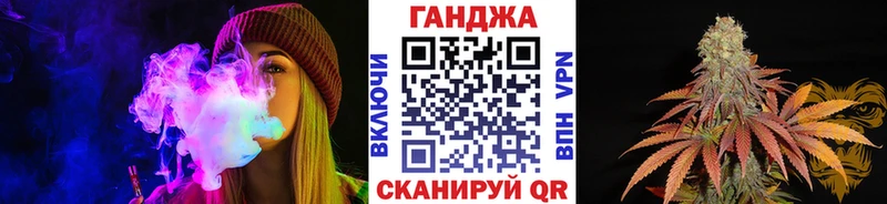 Купить  Кувшиново  Конопля SATIVA & INDICA 